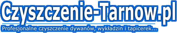Profesjonalne czyszczenie tapicerki samochodowej w Tarnowie.